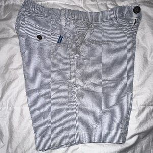 Seersucker Chubbies Shorts